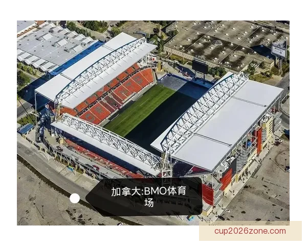 美加墨世界杯赛前全方位投注策略与胜算分析指南