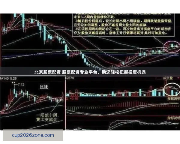 世界杯跟单策略全解析 玩转投注技巧提升收益 轻松把握赛事机会